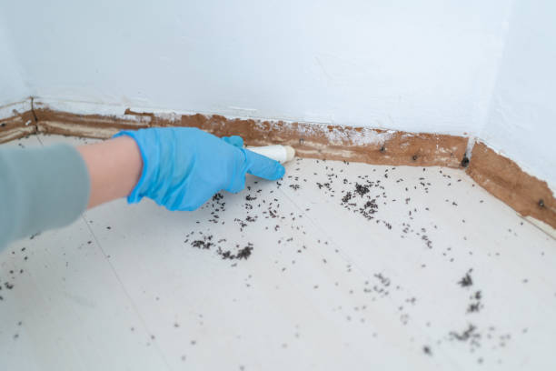 Best Commercial Pest Control Services  in Madison Park, NJ